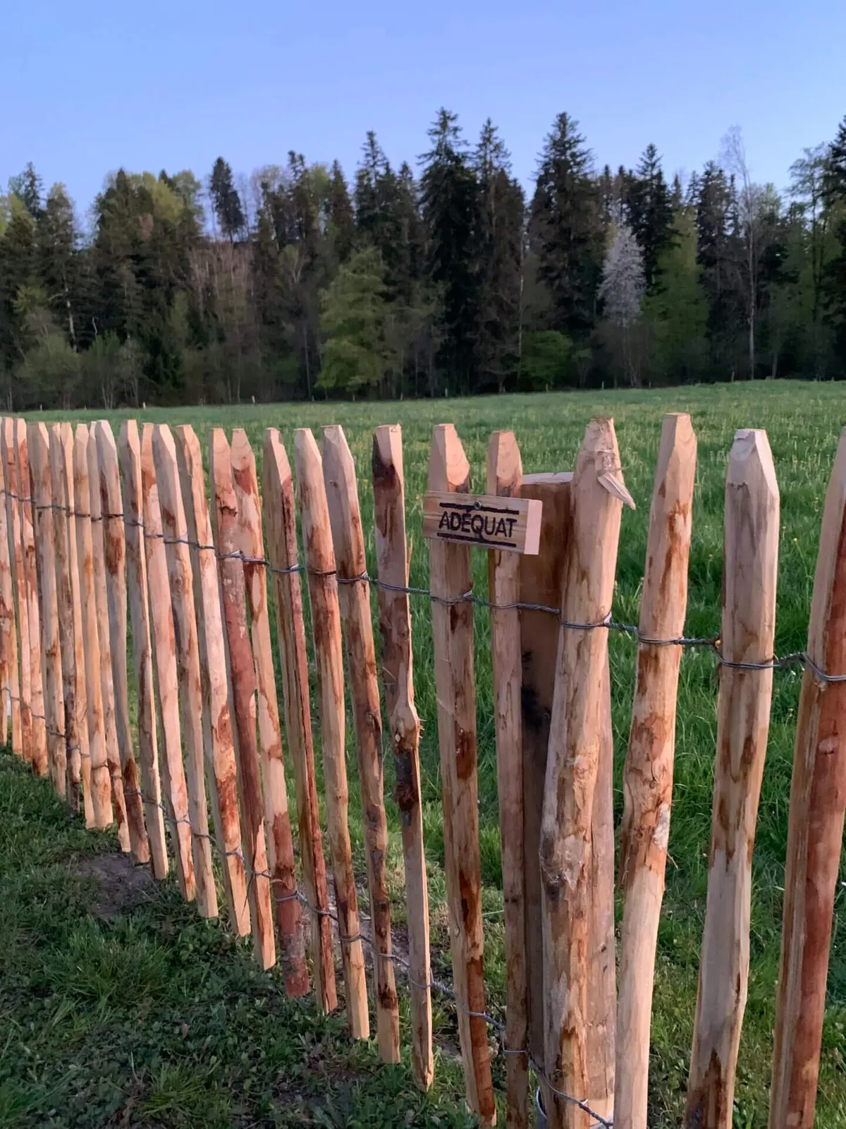 Fr. Staketenzaun Kastanien 80 cm hoch, Abstand 4 cm, 2x 5m Rolle, Zaunpfahl 7-9 80 cm Länge für Bodenhülse, Bodenhülse / Einschlaghülse 8 cm und Edelstahl Schrauben 4,5x60, pro 100 Stück