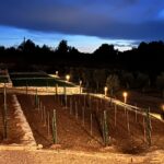 Houten tuinverlichting rond Billy