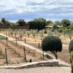 Houten tuinverlichting rond Billy