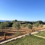 Houten tuinverlichting rond Billy