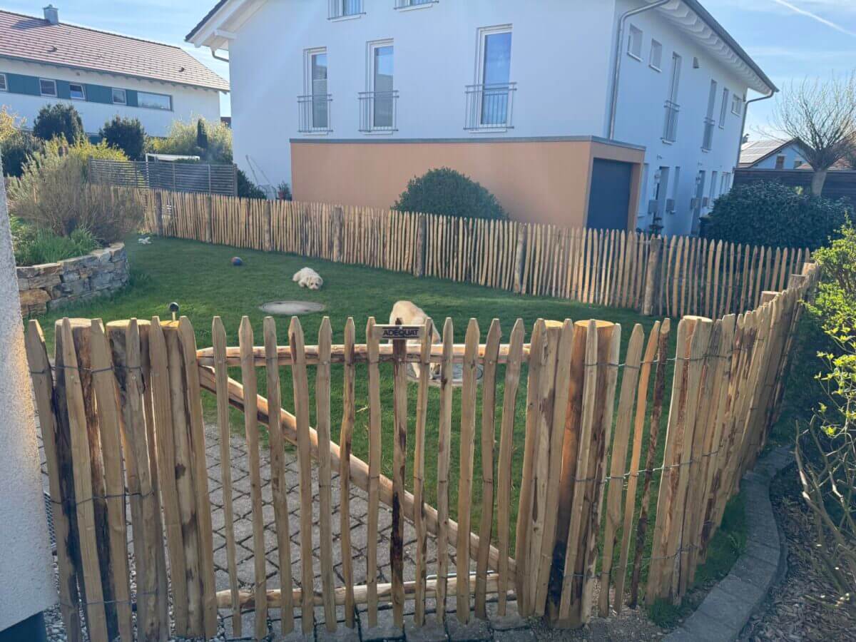 Fr. Staketenzaun Kastanien 100 cm hoch, Abstand 4 cm, 2x 5m rolle, Robinien Pfost 160 cm lang, Ø 8-10 cm geschält mit Spitze, Robinien Pfost 180 cm lang, Ø 10-12 cm geschält mit Spitze, Edelstahl Schrauben 4,5x60, pro 100 Stück, Staketenzauntor nur Rahmen Kastanie einzeln 120Bx100H (cm), Öffnungsrichtung: Rechts, Fr. Staketenzaun Kastanien 80 cm hoch, Abstand 4 cm, 2x 5m Rolle und Robinien Pfost 160 cm lang, Ø 6-8 cm geschält mit Spitze