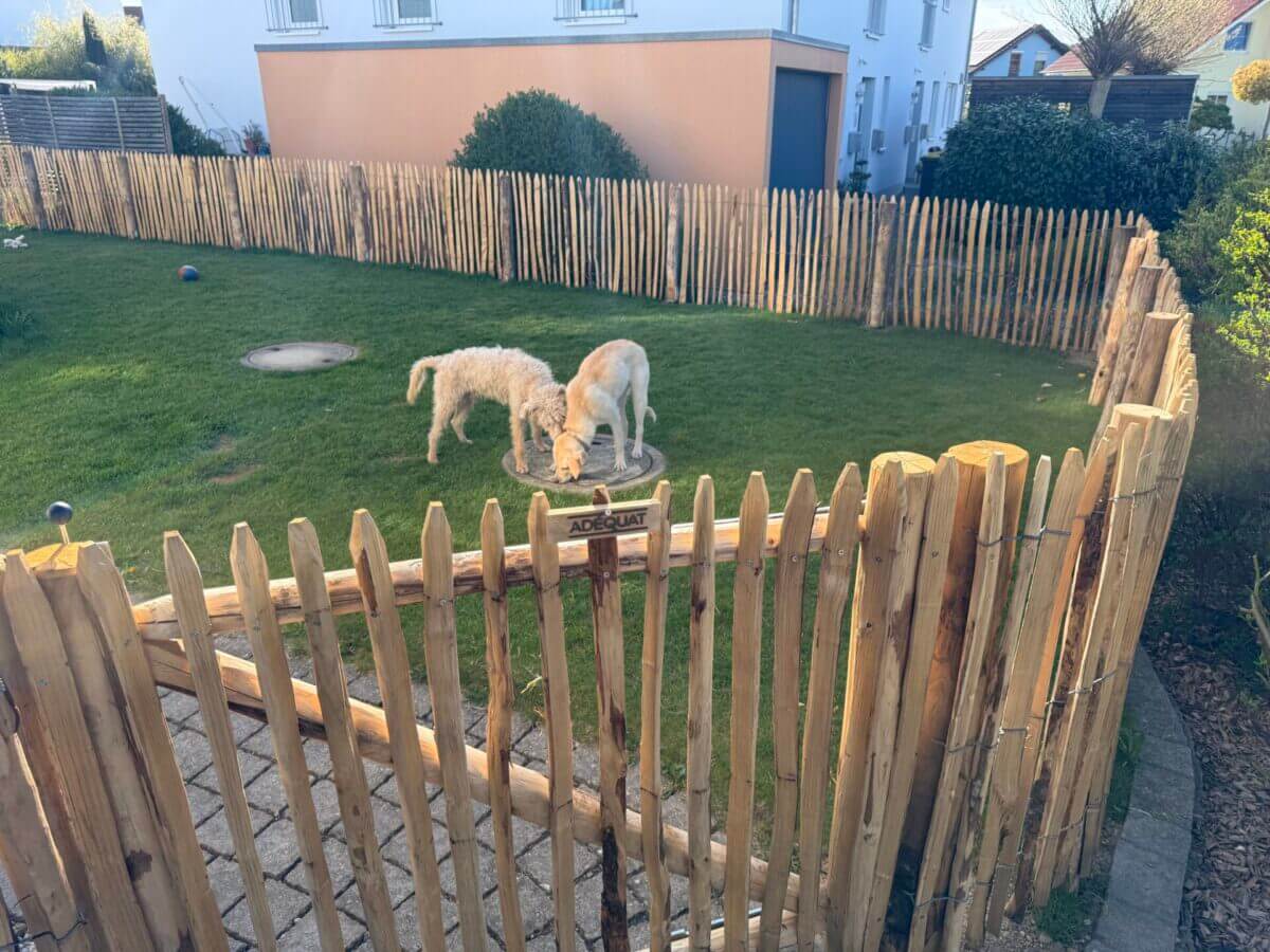 Fr. Staketenzaun Kastanien 100 cm hoch, Abstand 4 cm, 2x 5m rolle, Robinien Pfost 160 cm lang, Ø 8-10 cm geschält mit Spitze, Robinien Pfost 180 cm lang, Ø 10-12 cm geschält mit Spitze, Edelstahl Schrauben 4,5x60, pro 100 Stück, Staketenzauntor nur Rahmen Kastanie einzeln 120Bx100H (cm), Öffnungsrichtung: Rechts, Fr. Staketenzaun Kastanien 80 cm hoch, Abstand 4 cm, 2x 5m Rolle und Robinien Pfost 160 cm lang, Ø 6-8 cm geschält mit Spitze