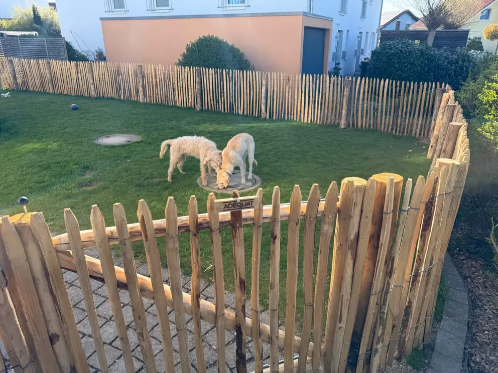 Staketenzaun Kastanie für die Hunde