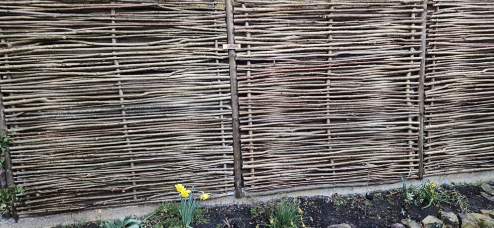 Sichtschutz Haselnusszaun Somme 180 x 180 cm