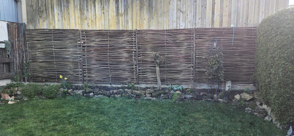 Haselnusszaun Sichtschutz