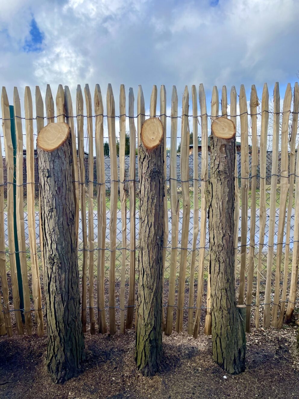 Staketenzaun Kastanie