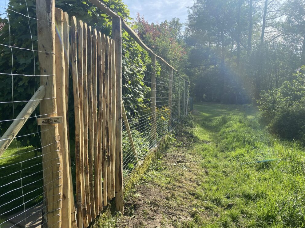Zaunpfahl 7-9 200 cm Länge für Bodenhülse, Zaunpfahl 7-9 200 cm Länge für Bodenhülse, Bodenhülse / Einschlaghülse 8 cm, Kastanien Pfost 300 cm lang, Ø 7-9 cm Halbrund und Staketenzauntor Kastanie einzeln 100Bx175H (cm), Öffnungsrichtung: Rechts