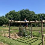 Weinlaube gebaut mit Robinienpfosten 250 cm lang, Ø 10-12 cm geschält (mit Spitze) und 400 cm lang, Ø 10-12 cm geschält (ohne Spitze)