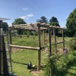 Weinlaube gebaut mit Robinienpfosten 250 cm lang, Ø 10-12 cm geschält (mit Spitze) und 400 cm lang, Ø 10-12 cm geschält (ohne Spitze)