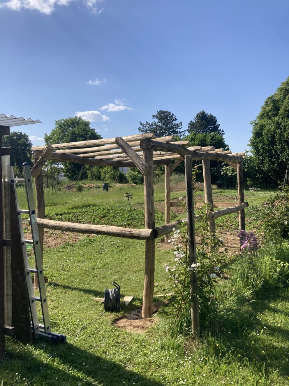 Weinlaube gebaut mit Robinienpfosten 250 cm lang, Ø 10-12 cm geschält (mit Spitze) und 400 cm lang, Ø 10-12 cm geschält (ohne Spitze)