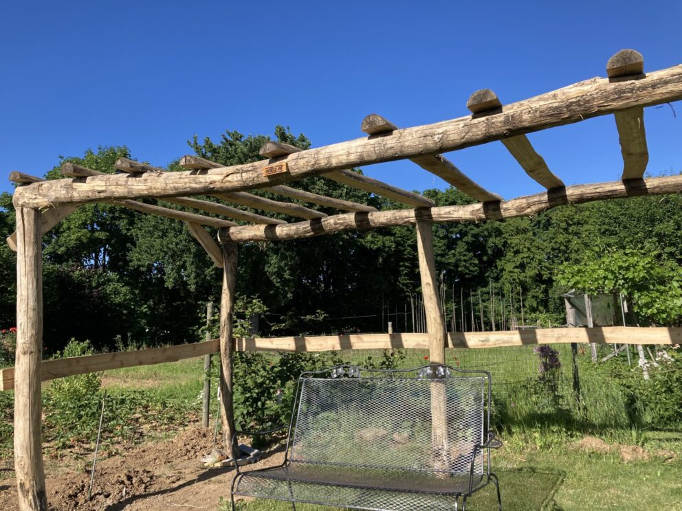 Weinlaube gebaut mit Robinienpfosten 250 cm lang, Ø 10-12 cm geschält (mit Spitze) und 400 cm lang, Ø 10-12 cm geschält (ohne Spitze)