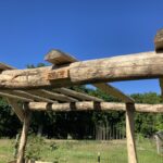Weinlaube gebaut mit Robinienpfosten 250 cm lang, Ø 10-12 cm geschält (mit Spitze) und 400 cm lang, Ø 10-12 cm geschält (ohne Spitze)