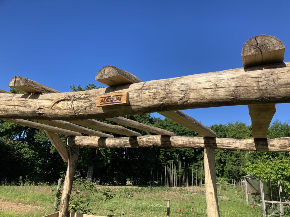 Weinlaube gebaut mit Robinienpfosten 250 cm lang, Ø 10-12 cm geschält (mit Spitze) und 400 cm lang, Ø 10-12 cm geschält (ohne Spitze)