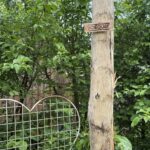 Robinien Pfost 400 cm lang, Ø 10-12 cm geschält ohne Spitze