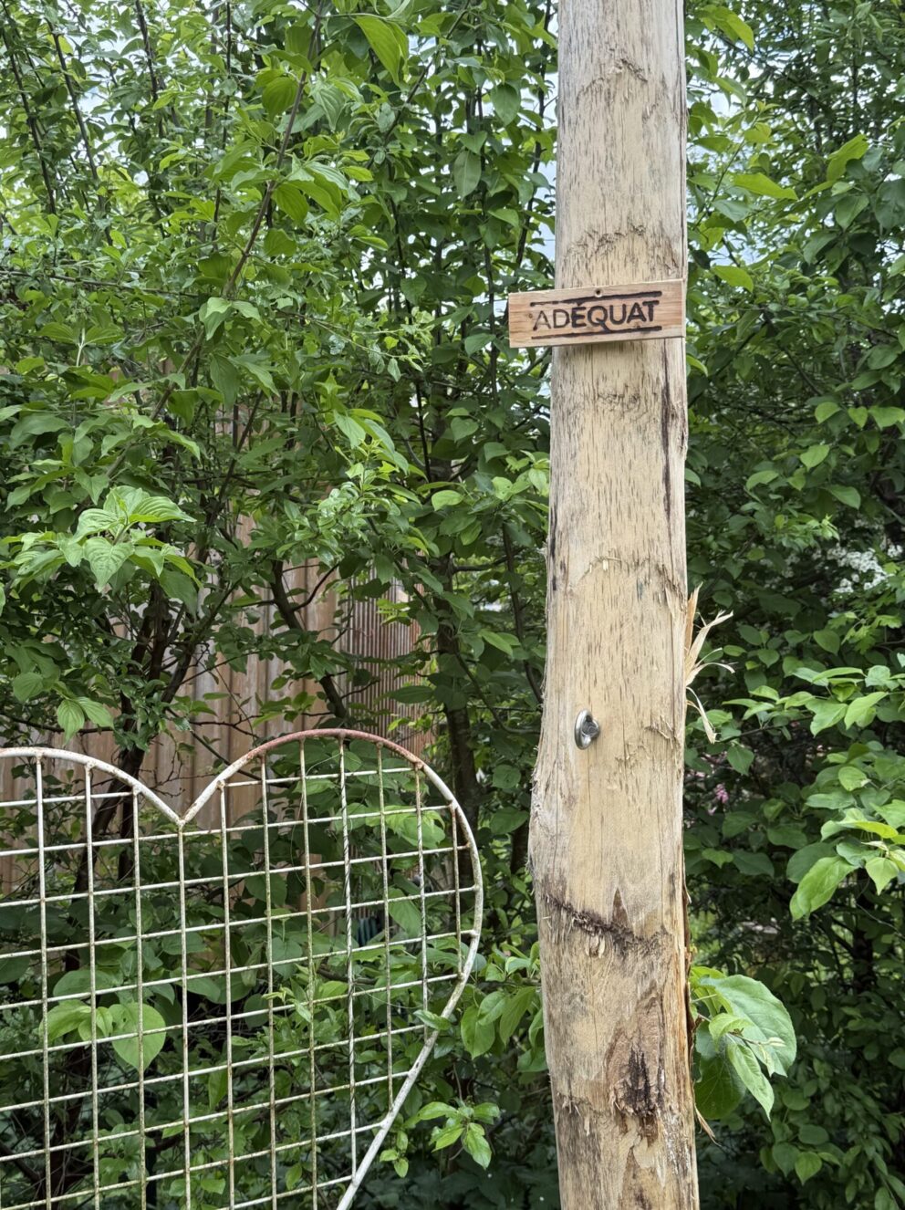 Robinien Pfost 400 cm lang, Ø 10-12 cm geschält ohne Spitze