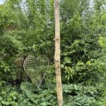 Robinien Pfost 400 cm lang, Ø 10-12 cm geschält ohne Spitze
