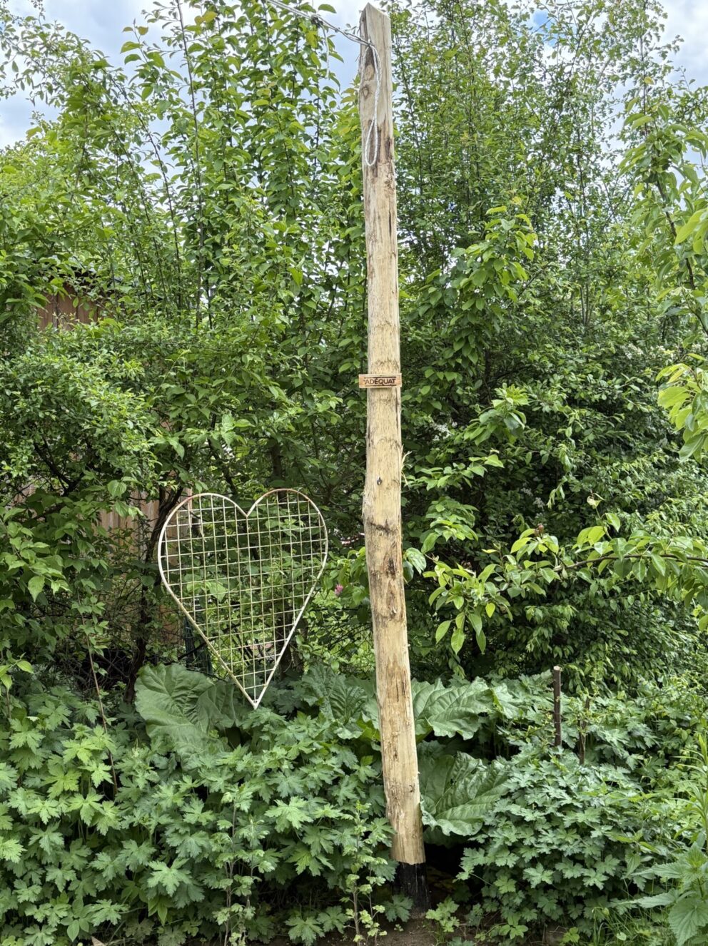 Robinien Pfost 400 cm lang, Ø 10-12 cm geschält ohne Spitze