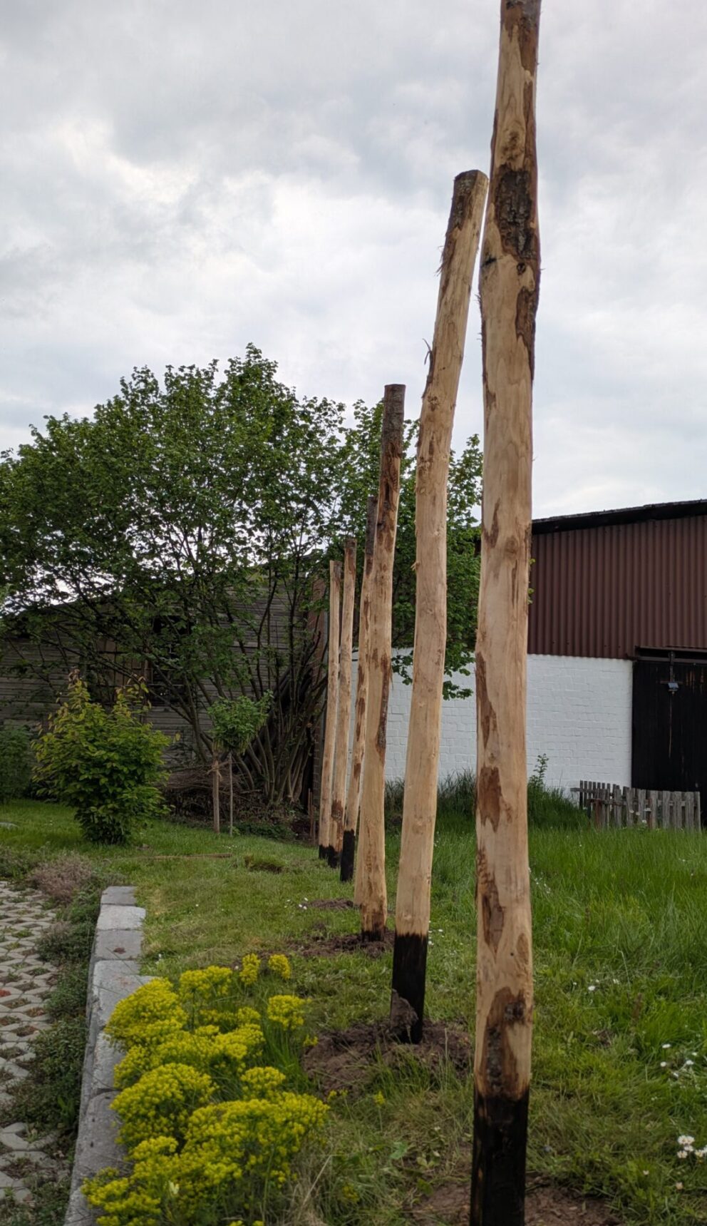 Kastanien Pfost 300 cm lang, Ø 7-9 cm - mit Spitze und Kastanien Pfost 300 cm lang, Ø 10-12 cm - mit Spitze