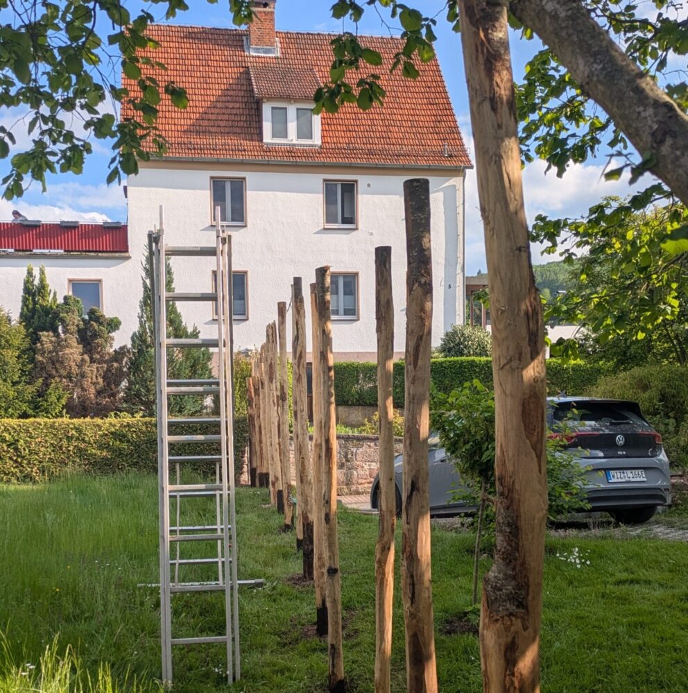 Kastanien Pfost 300 cm lang, Ø 7-9 cm - mit Spitze und Kastanien Pfost 300 cm lang, Ø 10-12 cm - mit Spitze