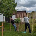 Fr. Staketenzaun Kastanien 200 cm hoch, Abstand 4 cm, 2x 5m Rolle, Kastanien Pfost 300 cm lang, Ø 7-9 cm - mit Spitze und Kastanien Pfost 300 cm lang, Ø 10-12 cm - mit Spitze