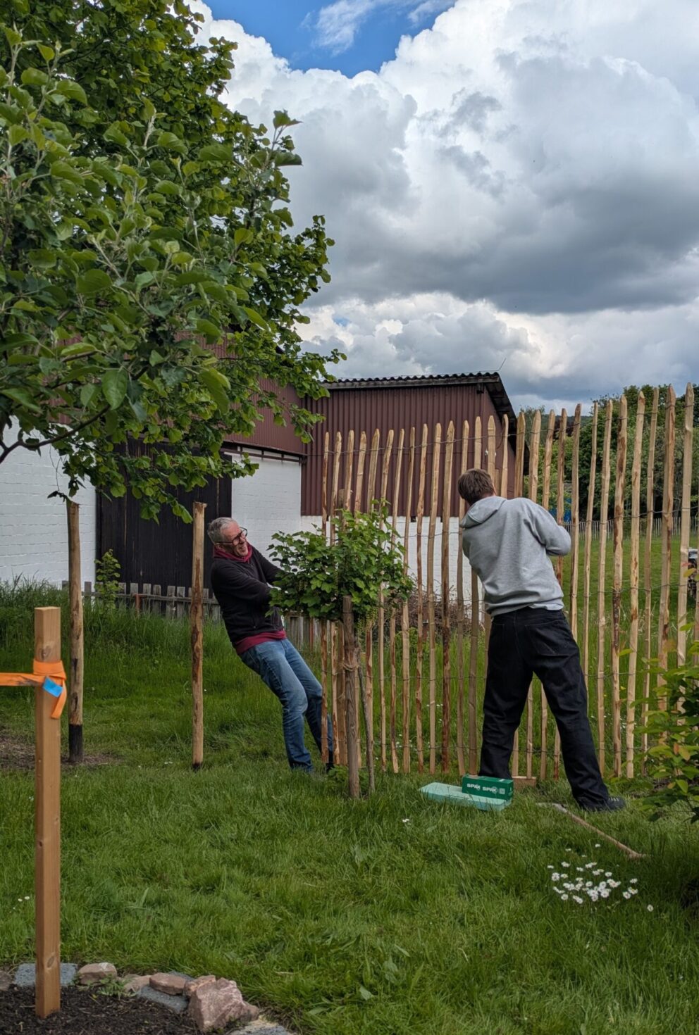 Fr. Staketenzaun Kastanien 200 cm hoch, Abstand 4 cm, 2x 5m Rolle, Kastanien Pfost 300 cm lang, Ø 7-9 cm - mit Spitze und Kastanien Pfost 300 cm lang, Ø 10-12 cm - mit Spitze