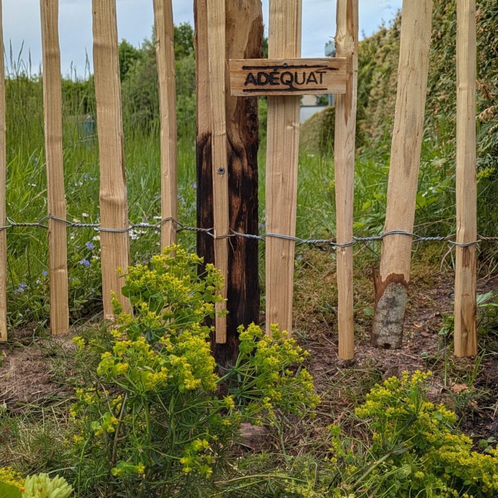 Fr. Staketenzaun Kastanien 200 cm hoch, Abstand 4 cm, 2x 5m Rolle, Kastanien Pfost 300 cm lang, Ø 7-9 cm - mit Spitze und Kastanien Pfost 300 cm lang, Ø 10-12 cm - mit Spitze