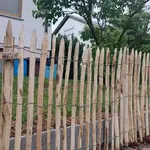Fr. Staketenzaun Kastanien 100 cm hoch, Abstand 4 cm, 2x 5m rolle, Kastanien Pfost 175 cm lang, Ø 7-9 cm - mit Spitze und Kastanien Pfost 150/160 cm lang, Ø 7-9 cm- mit Spitze