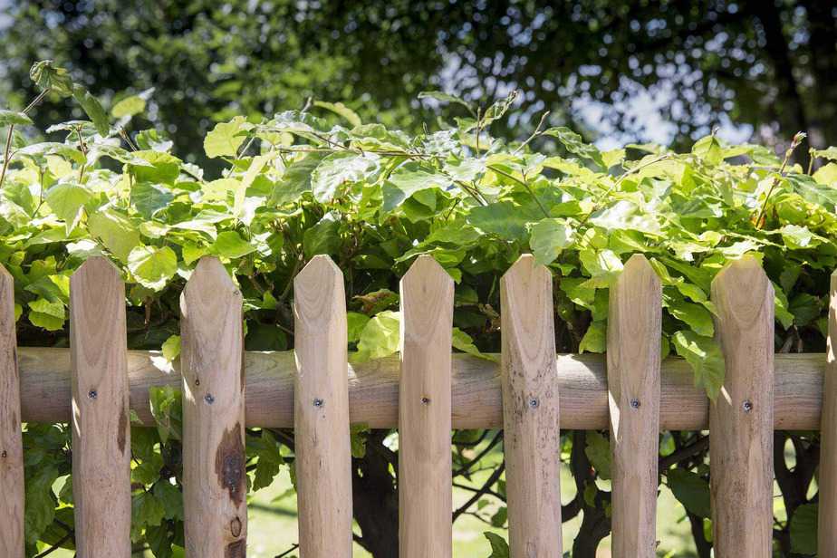 Lattenzaun Holz selber bauen Kastanie