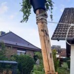 Kastanien Pfost 300 cm lang, Ø 13-16 cm - ohne Spitze, Kastanien Pfost 300 cm lang, Ø 10-12 cm - mit Spitze