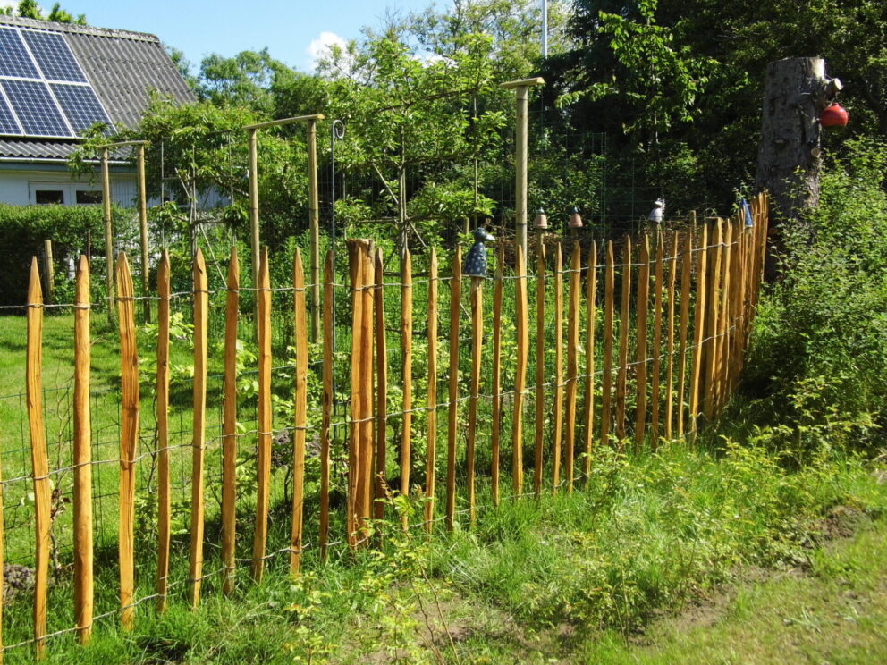 Staketenzauntor Kastanie doppelt 250Bx120H (cm), Fr. Staketenzaun Kastanien 80 cm hoch, Abstand 4 cm, 2x 5m Rolle, Kastanien Pfost 150/160 cm lang, Ø 7-9 cm - mit Spitze und Staketenzauntor Kastanie einzeln 080Bx120H (cm), Öffnungsrichtung rechts