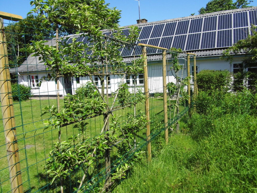 Staketenzauntor Kastanie doppelt 250Bx120H (cm), Fr. Staketenzaun Kastanien 80 cm hoch, Abstand 4 cm, 2x 5m Rolle, Kastanien Pfost 150/160 cm lang, Ø 7-9 cm - mit Spitze und Staketenzauntor Kastanie einzeln 080Bx120H (cm), Öffnungsrichtung rechts