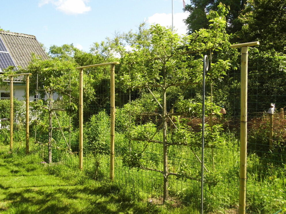 Staketenzauntor Kastanie doppelt 250Bx120H (cm), Fr. Staketenzaun Kastanien 80 cm hoch, Abstand 4 cm, 2x 5m Rolle, Kastanien Pfost 150/160 cm lang, Ø 7-9 cm - mit Spitze und Staketenzauntor Kastanie einzeln 080Bx120H (cm), Öffnungsrichtung rechts