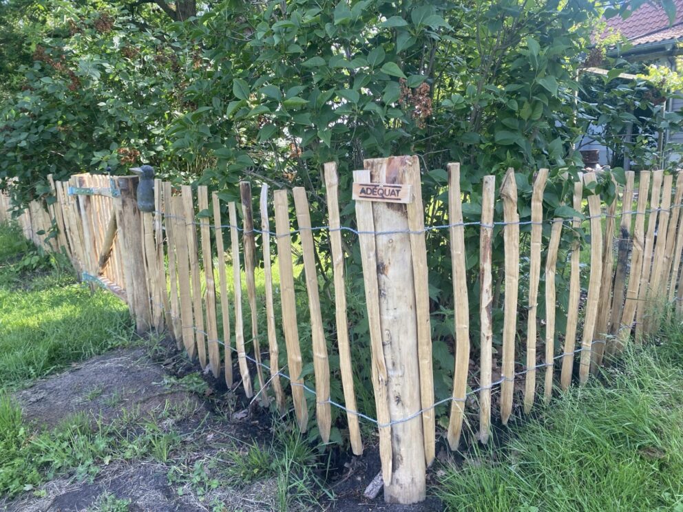 Zaunpfahl Kastanie 10-12 200 cm (teilgefräst) für Bodenhülse, Fr. Staketenzaun Kastanien 80 cm hoch, Abstand 8 cm, 1x 10m Rolle, Staketenzauntor Kastanie einzeln 100Bx080H (cm), Öffnungsrichtung: Rechts
