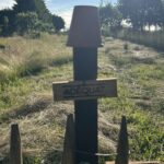 Staketenzaun Kastanie 100 cm H, Abstand 10 cm