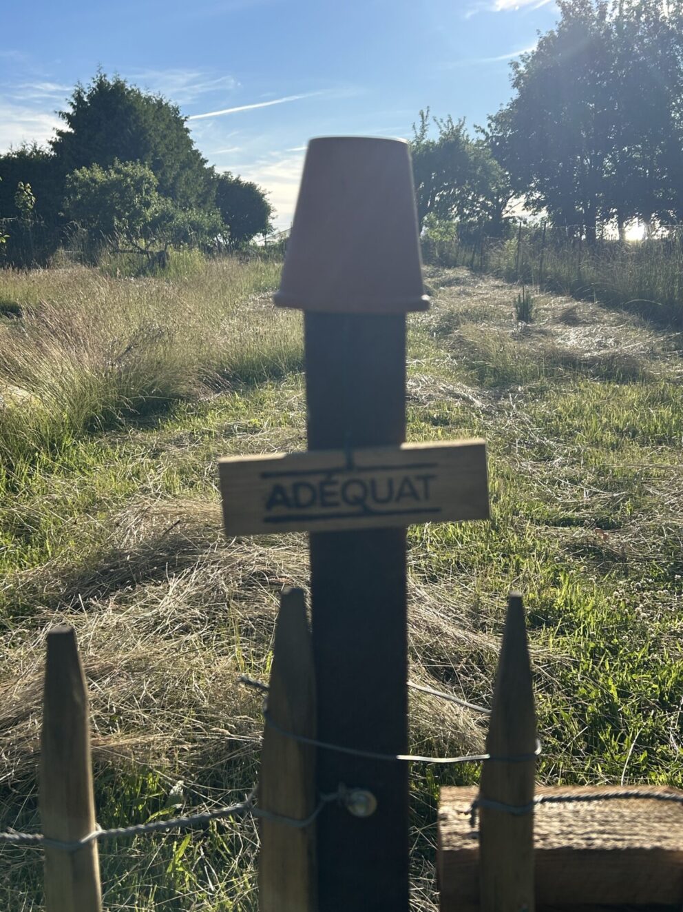 Staketenzaun Kastanie 100 cm H, Abstand 10 cm