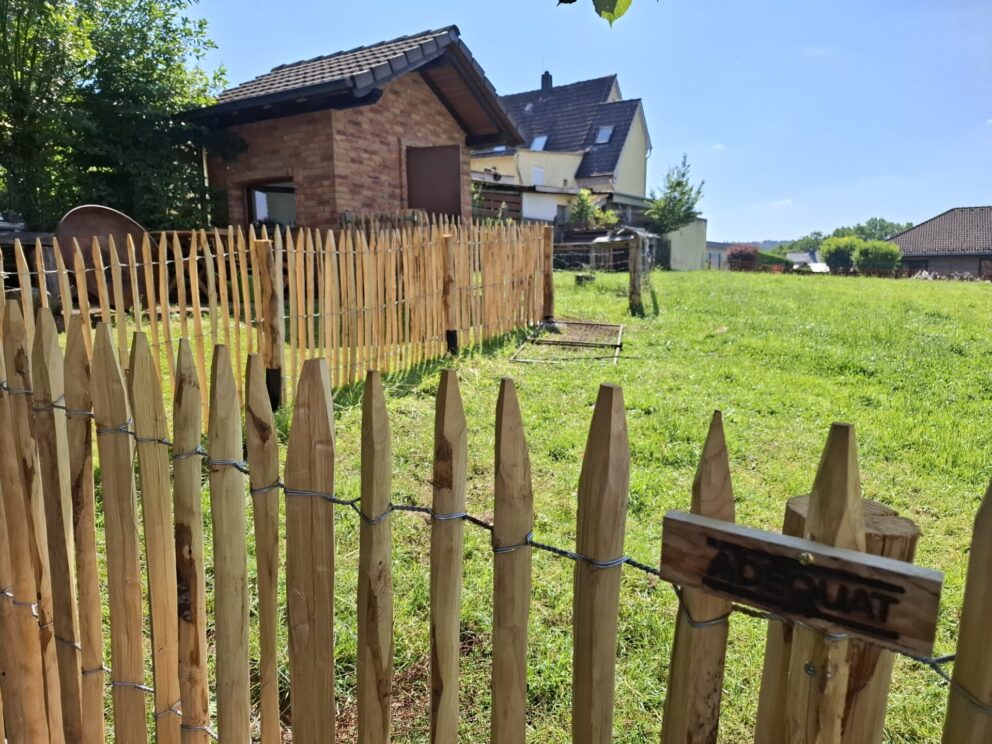 Staketenzaun Kastanie 100 cm hoch, Abstand 4 cm, Staketenzauntor Kastanie einzeln 100 cm hoch und 100 cm breit, Kastanien Pfosten 7-9 und 10-12 cm