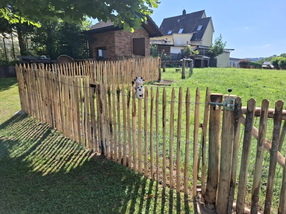 Staketenzaun Kastanie 100 cm hoch, Abstand 4 cm, Staketenzauntor Kastanie einzeln 100 cm hoch und 100 cm breit, Kastanien Pfosten 7-9 und 10-12 cm for Hühnerhaus und Schafe