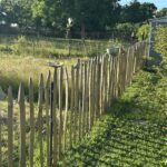 Staketenzaun Kastanie 100 cm H, Abstand 10 cm