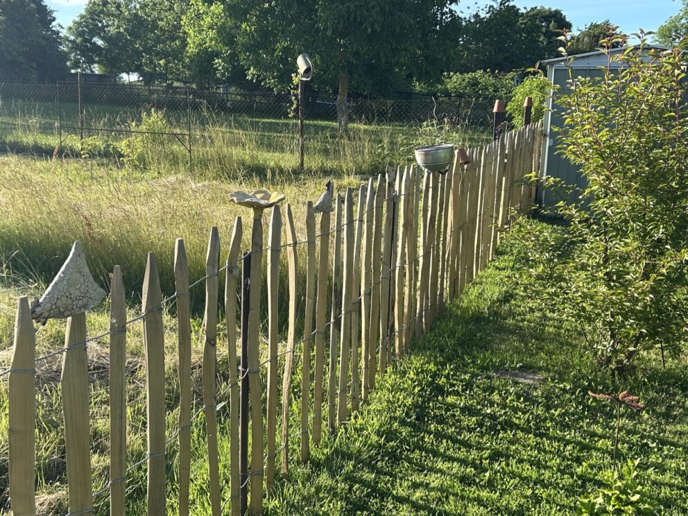 Staketenzaun Kastanie 100 cm H, Abstand 10 cm