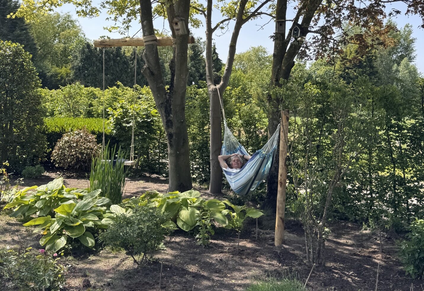 Hängematte ein Baum