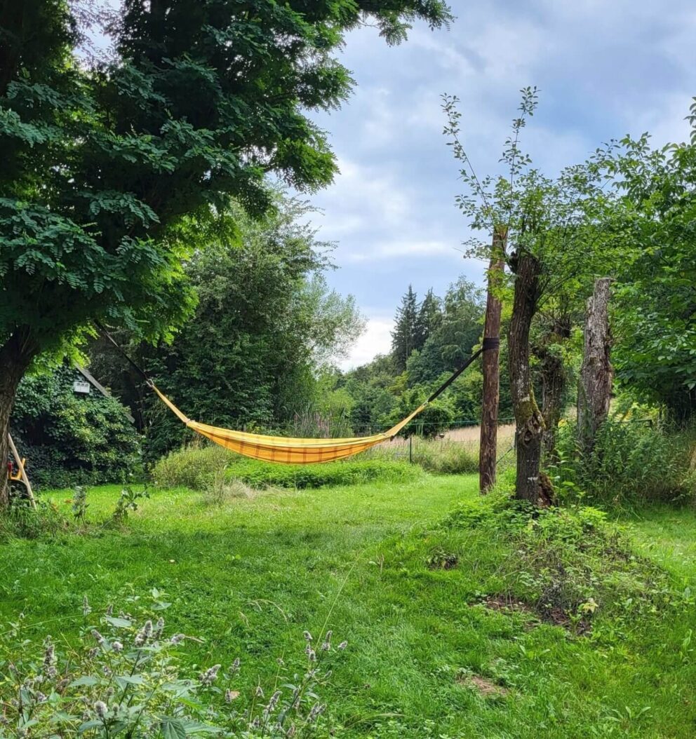 Hängematte nur ein Baum - Baumersatz