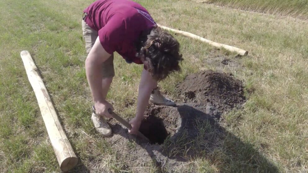 Hängematte ohne Baum nur ein Baum Baumersatz
