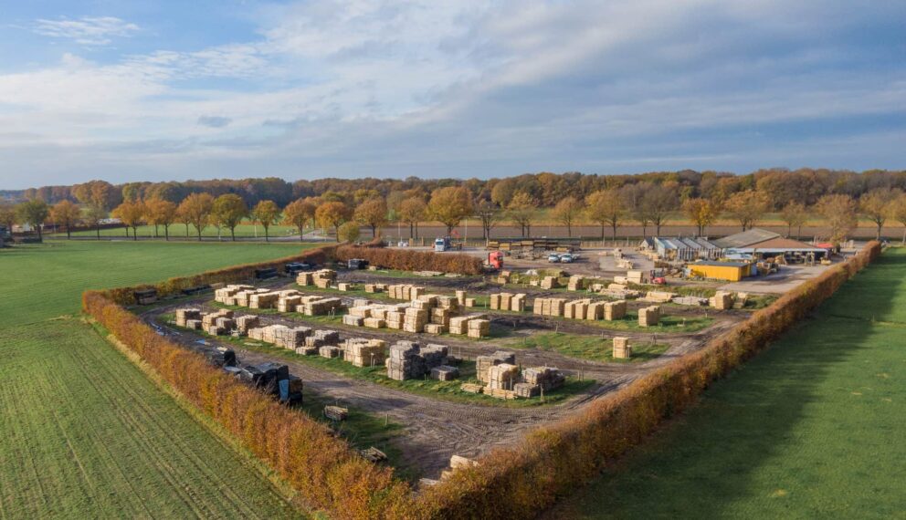 Holzzaun Hersteller Niederlande Adequat