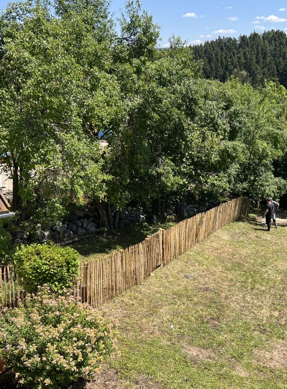 Fr. Staketenzaun Kastanien 120 cm hoch,Abstand 4 cm, 2x 5m Rolle und Staketenzauntor Kastanie einzeln 100Bx120H (cm)