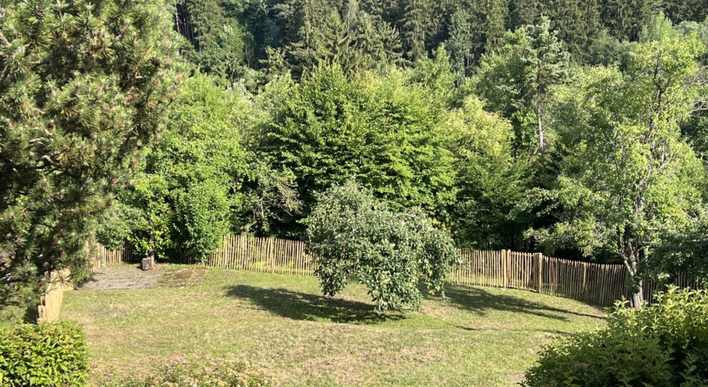 Fr. Staketenzaun Kastanien 120 cm hoch,Abstand 4 cm, 2x 5m Rolle und Staketenzauntor Kastanie einzeln 100Bx120H (cm)
