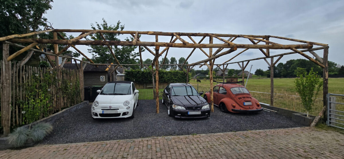 Carport Holz selber bauen aus Kastanienholz mit Seitenwand