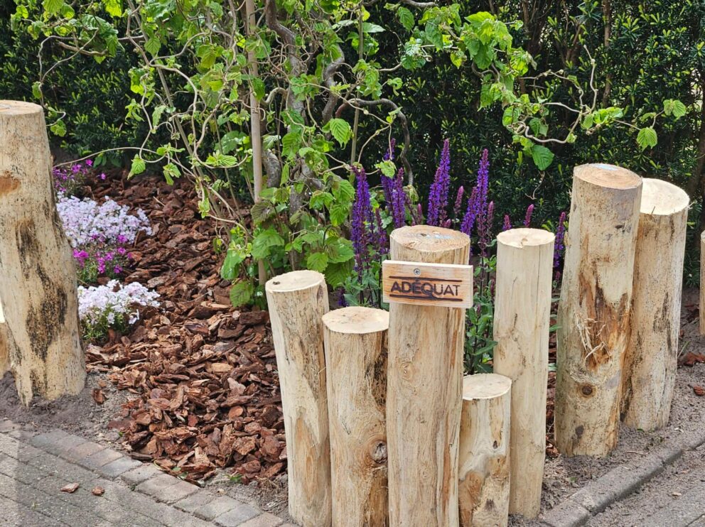 Holzpalisade Beetumrandung