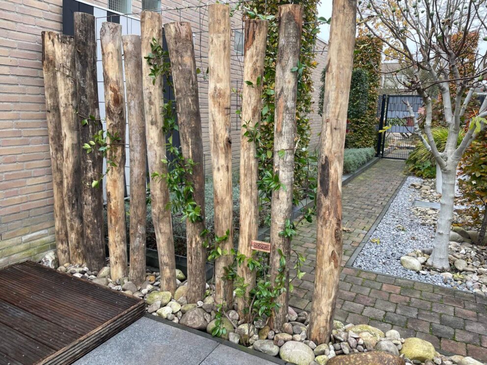 Holzpalisade Robinie