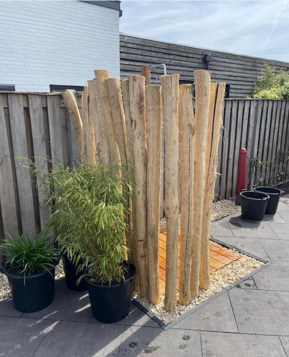 Holzpalisade Robinie