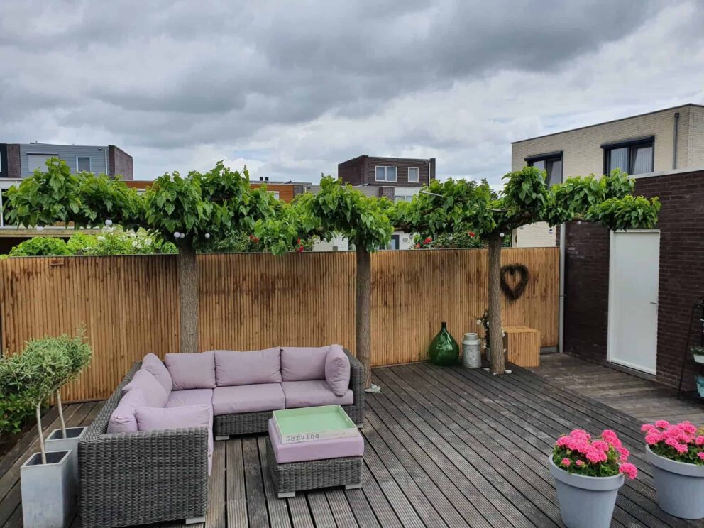 Terrasse Sichtschutzzaun Holz